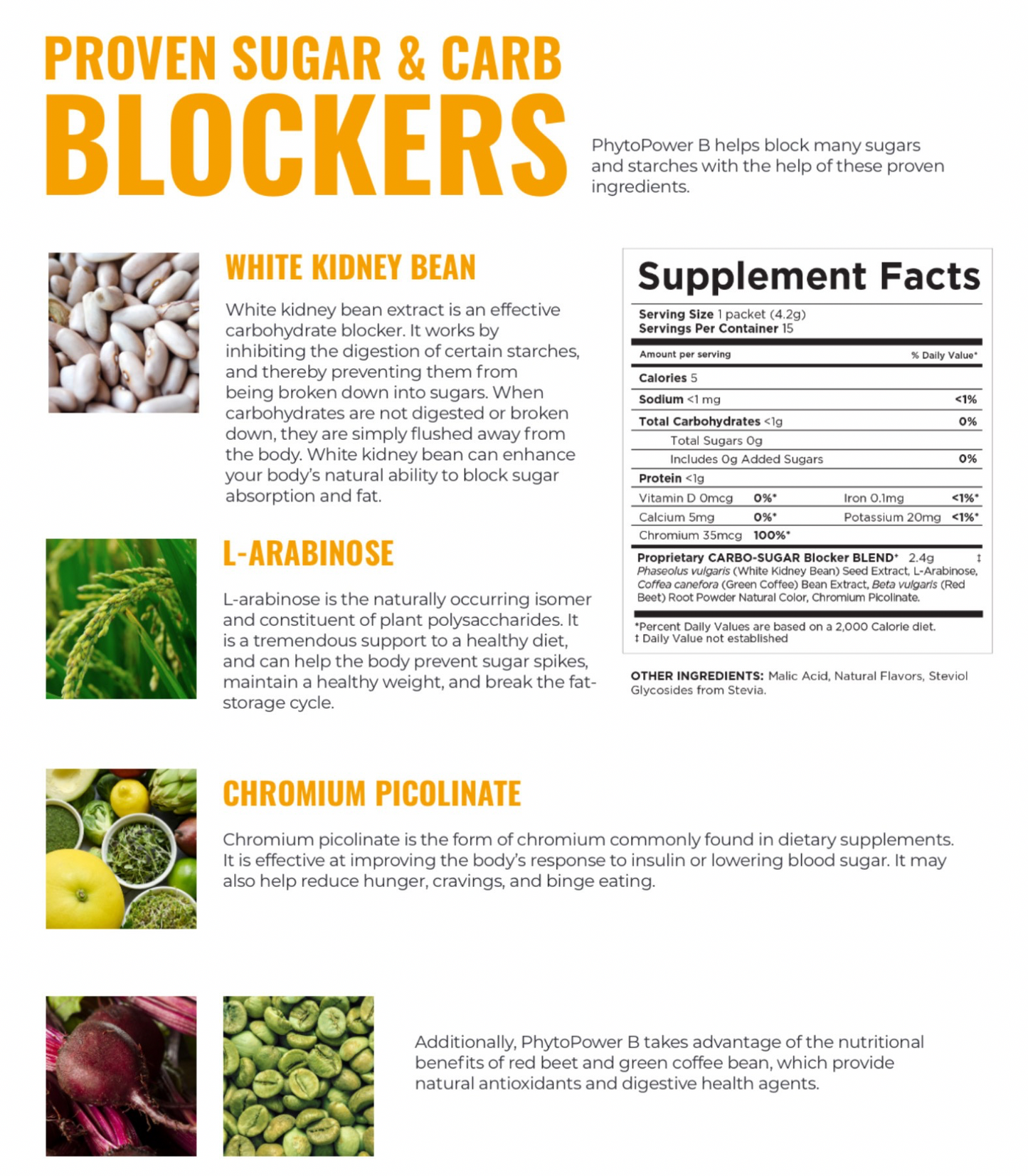Phyto Power B - Carb-Blocking Formula